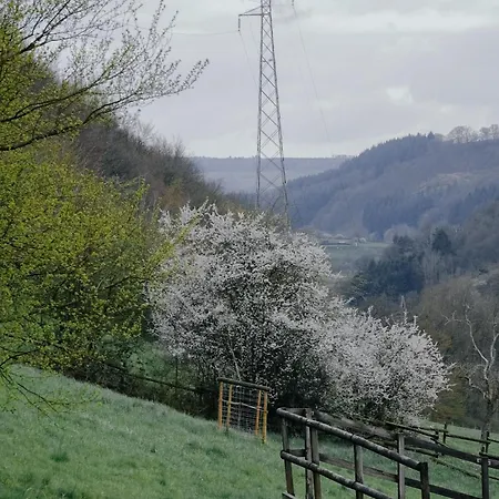 L'eden - Privative Avec Jacuzzi Et Sauna 4* Theux