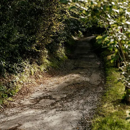 L'eden - Privative Avec Jacuzzi Et Sauna Gasthuis